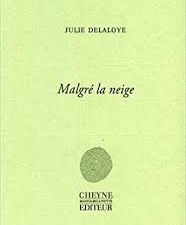 Questions à Julie Delaloye 