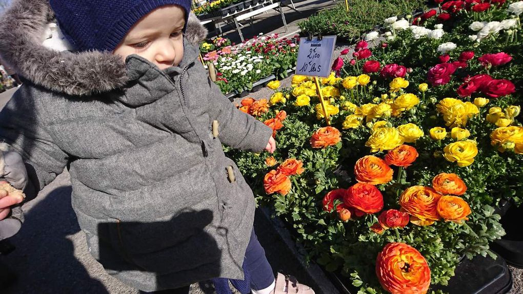 Pâte à modeler ou marché aux fleurs