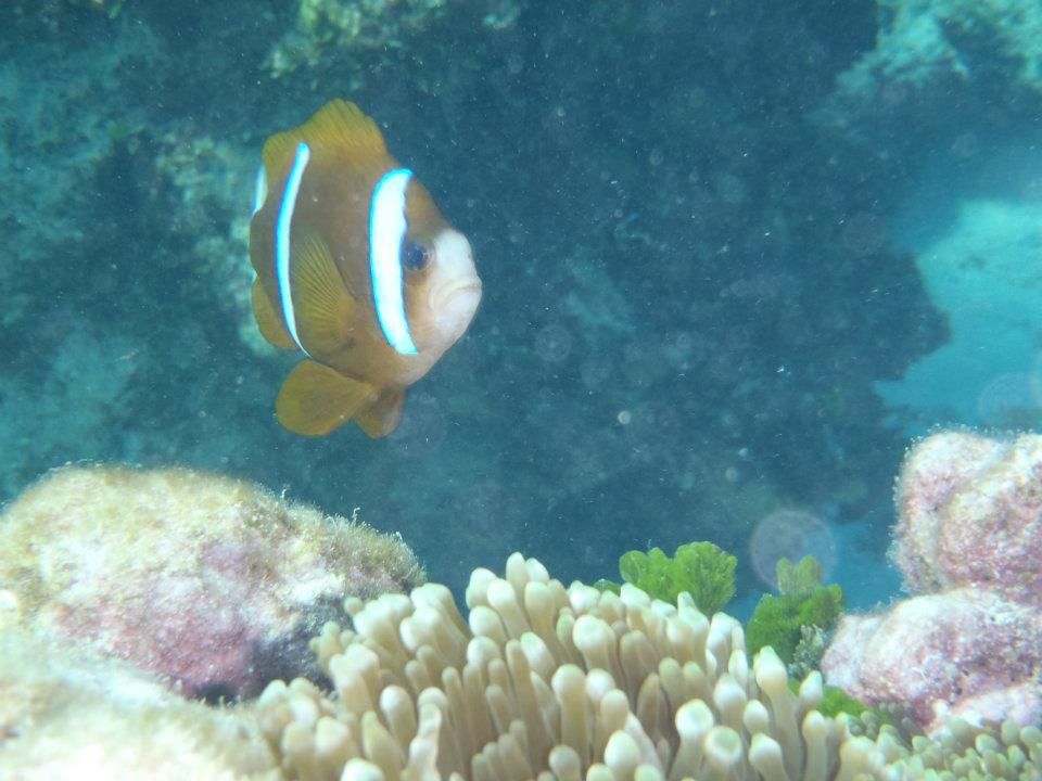 Ballade en Bateau sur l'atoll de nokanhui mai 2012