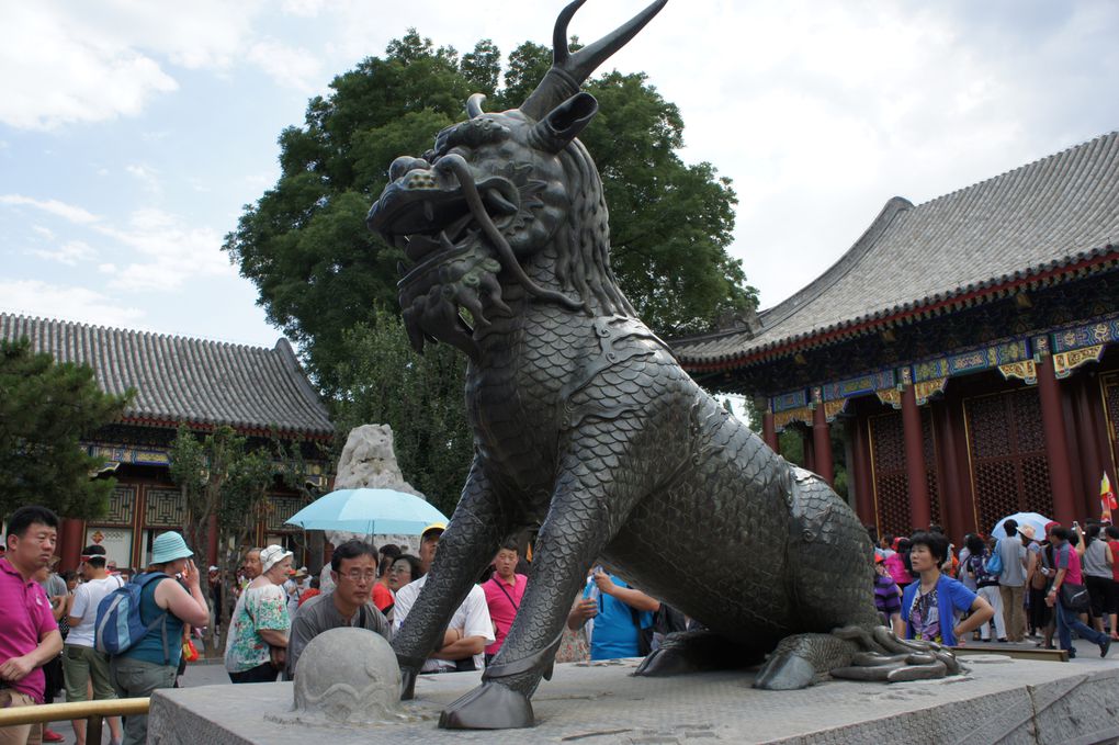 Ming Tombs - Jade Museum - Great Wall - Summer Palace - Teezeremonie - Tianmen Square - Verbotene Stadt - Park....