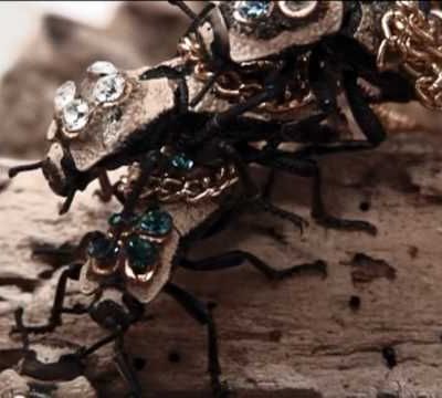 MEXIQUE le malheur Maquech : Scarabées insectes utiles changés en bijoux vivants !