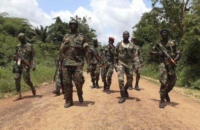 Descente musclée de commandos FRCI dans le village du Président Mamadou Koulibaly