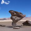 Bolivie : l'arbre de pierre.