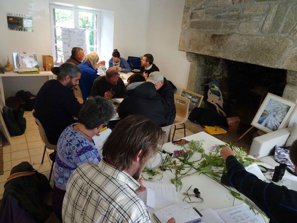 Les formations professionnelles comme les sessions d'enseignement botanique pour les techniciens de l'EPCC Chemins du Patrimoine en Finistère (en approfondissement du MOOC de Telabotanica)