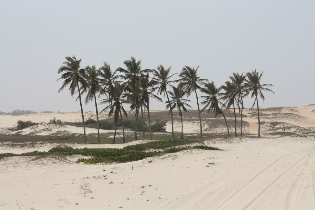 Album - Saly / janvier &amp; Mai 2010