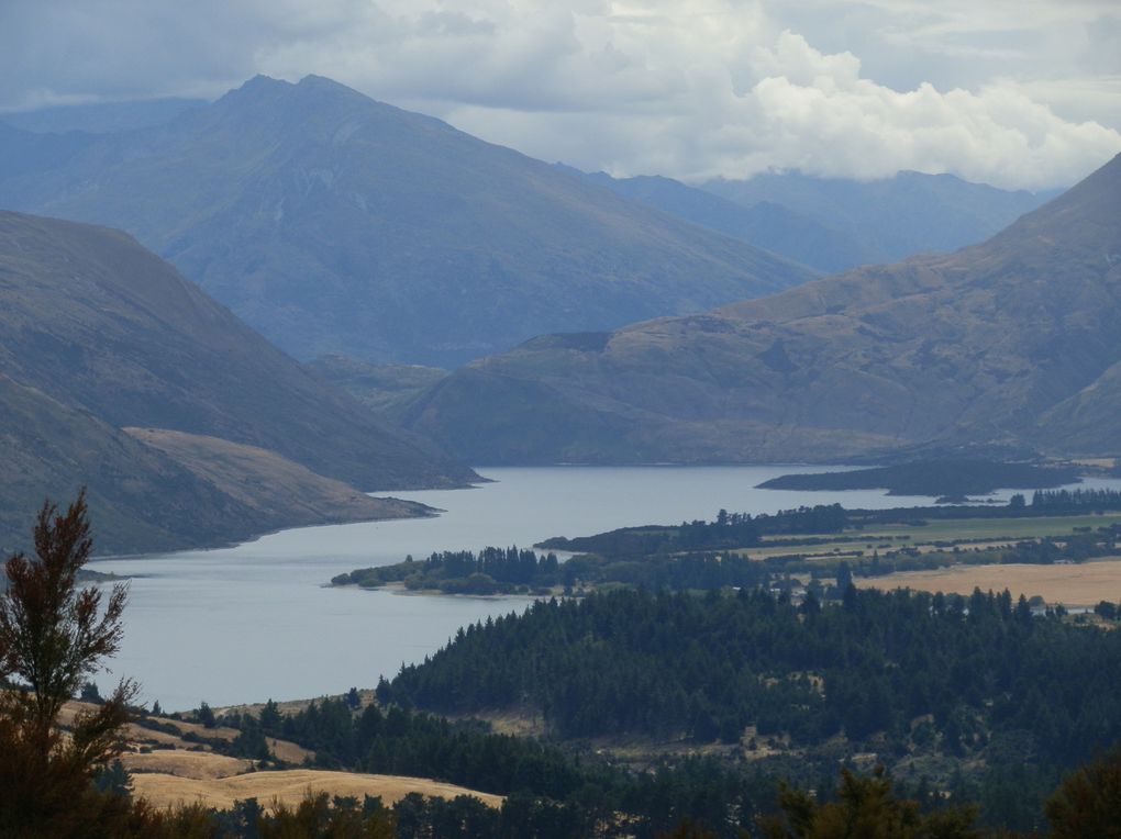 Album - Wanaka-et-Fox-Glacier