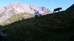 Ballade dans la Vanoise