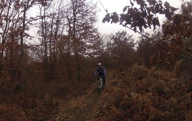 Retour sur le vélo