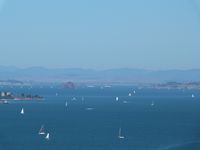 Dimanche 15 septembre: petit passage sur le flanc de la colline de la Coit Tower, face à la baie, avec une vue imprenable sur les bateaux de l'America's Cup: Fly Emirates c'est le bateau néo-zélandais, celui qui a perdu, et Oracle c'est le défi américain, le vainqueur.