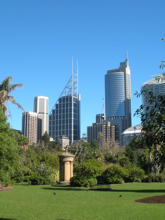 Sydney, son opéra, le Harbour Bridge, ses plages... Voici la plus grande ville d'Australie