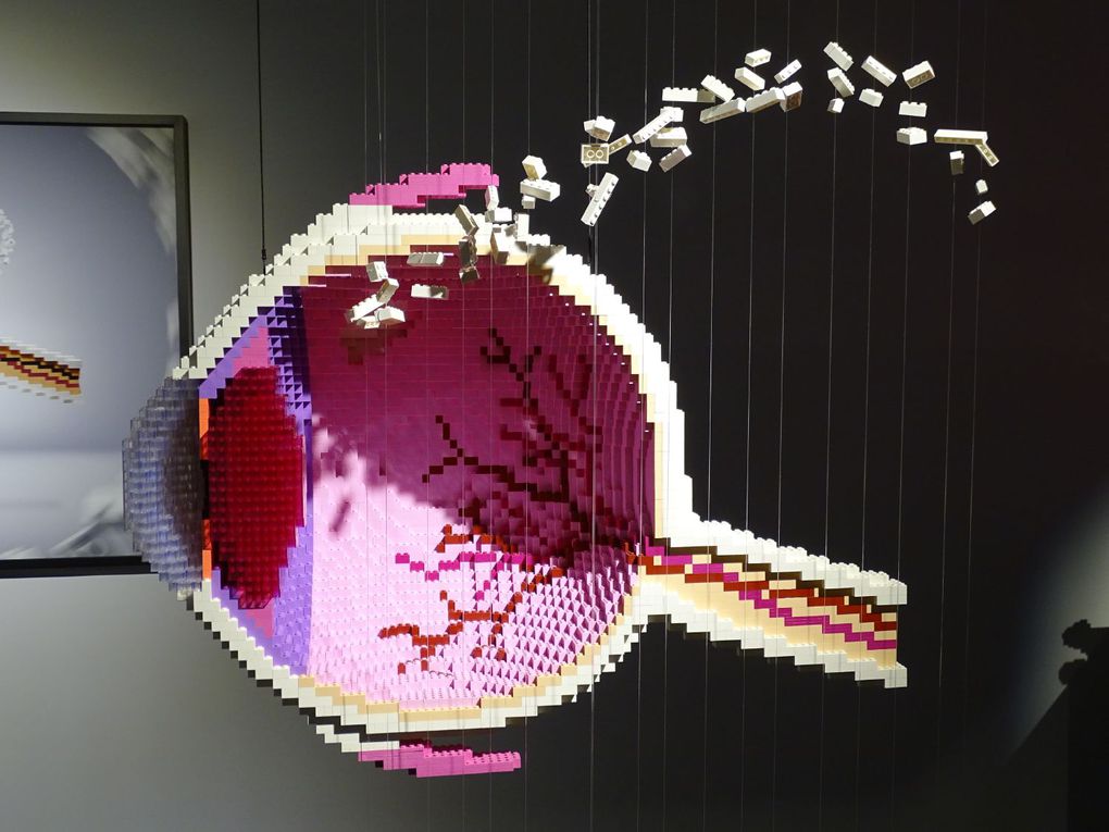Exposition &quot;The Art of The Brick&quot; Lego