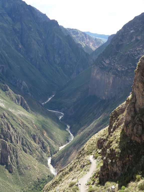 Album - 43.Canyon de Colca (Perou-Janvier)