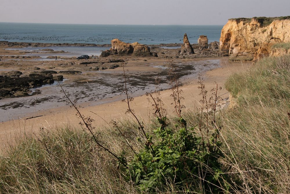 Les parcs à moules de bouchot de la Pointe du Bil