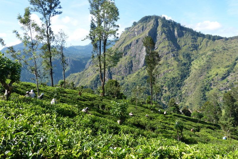 Album - Sri-Lanka