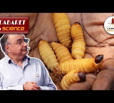 Mangeriez-vous des insectes ? | Philippe Le Gall