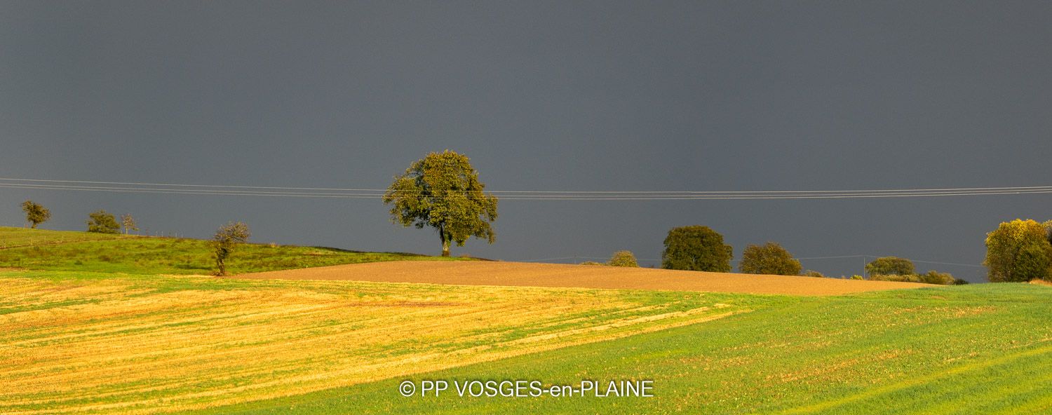 MADONNE ET LAMEREY, paysages et féérie des couleurs