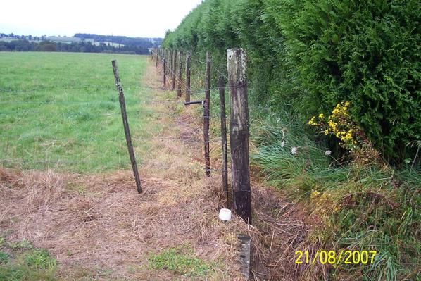 Album - les désherbants en LIMOUSIN