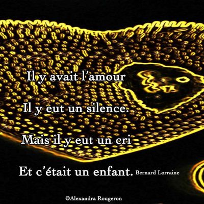 Bébé cœur protégé - Mai 2019