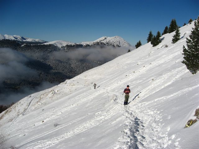 Album - Passeur-de-nature