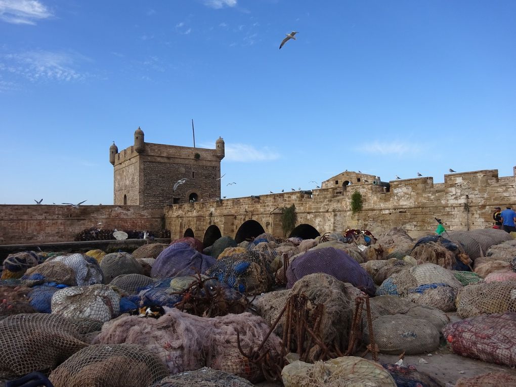 Séjour à Essaouira, Décembre 2018