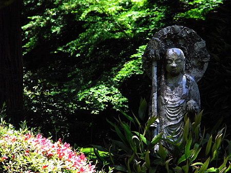 Album - Jizo