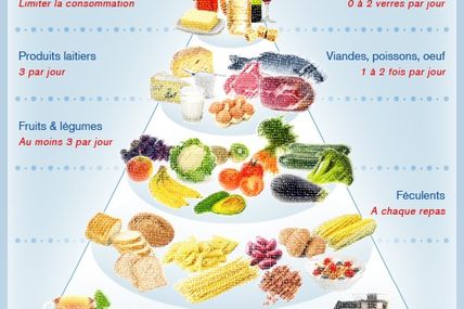 La Pyramide Alimentaire