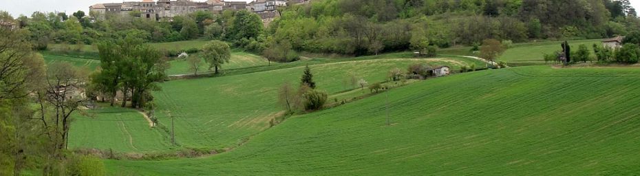 Castelnau de Montmiral