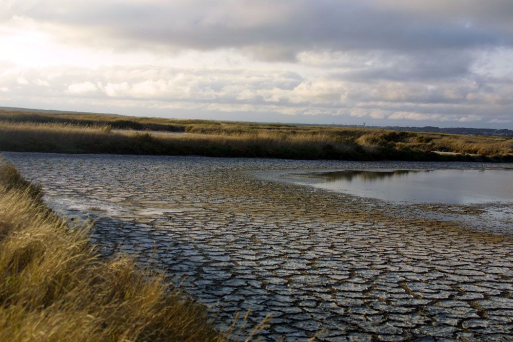 Images des marais salants de Gu&eacute;rande&nbsp;au lever du soleil