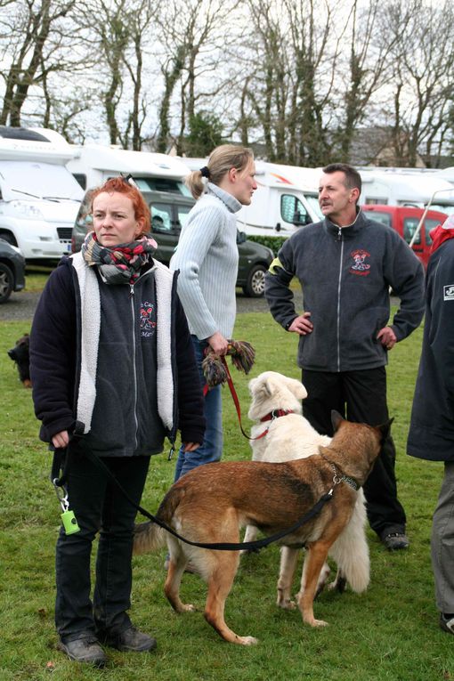 Album - 12-Concours-Agility-La-Martyre-10-03-2013-2