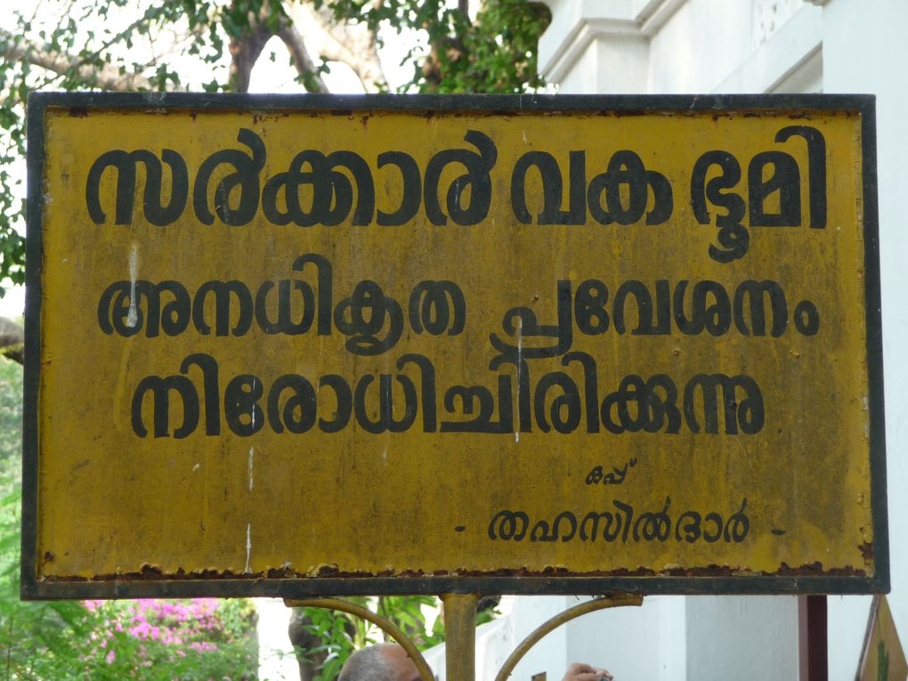 Album - Inde-du-Sud : Tamil Nadu, Kerala, Karnataka.