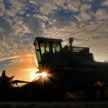 Greener And High-Quality Grains From John Deere Combine Setting