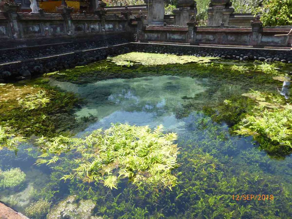 J8_ Tegalang, Tirta-Empul, Mont Batur, ....