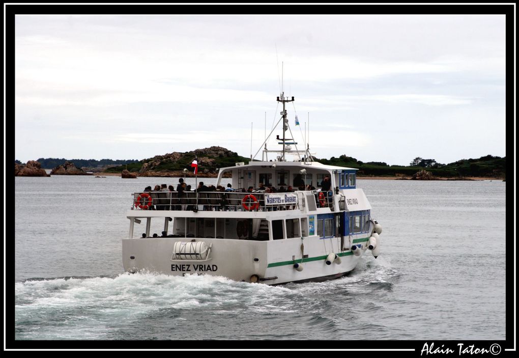 Album - île-de-Bréhat