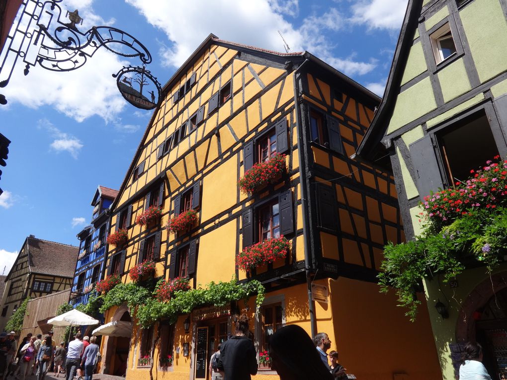 Alsace - 5.Riquewihr