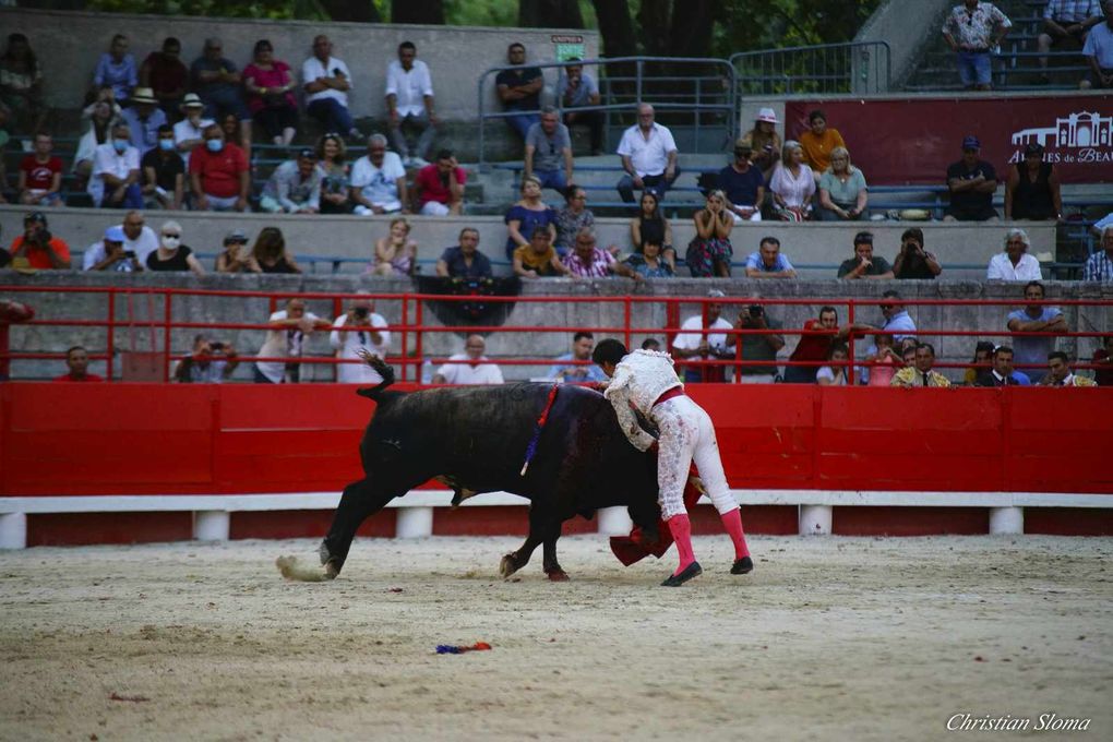      À L’OMBRE DES PLATANES, L’OREILLE D’OR À FRANCISCO MONTERO