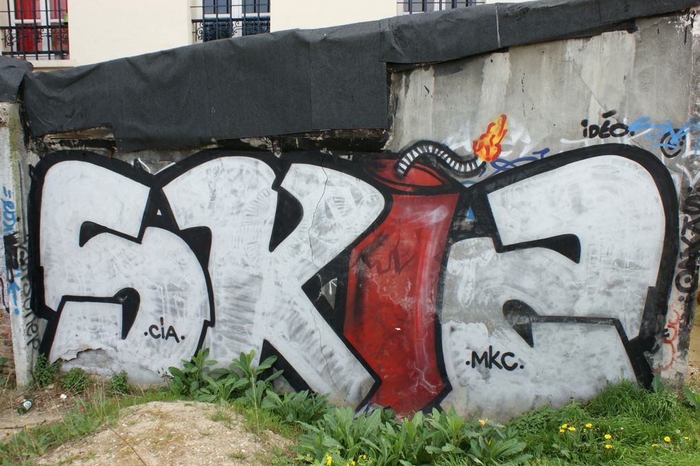 Album - Graffitis-Dept-93-Tom 001