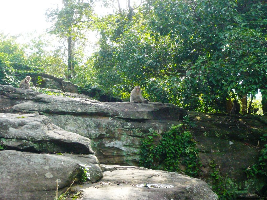 Album - Siem-Reap