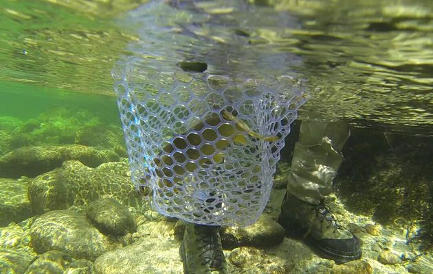 Les premières photos de Corse 