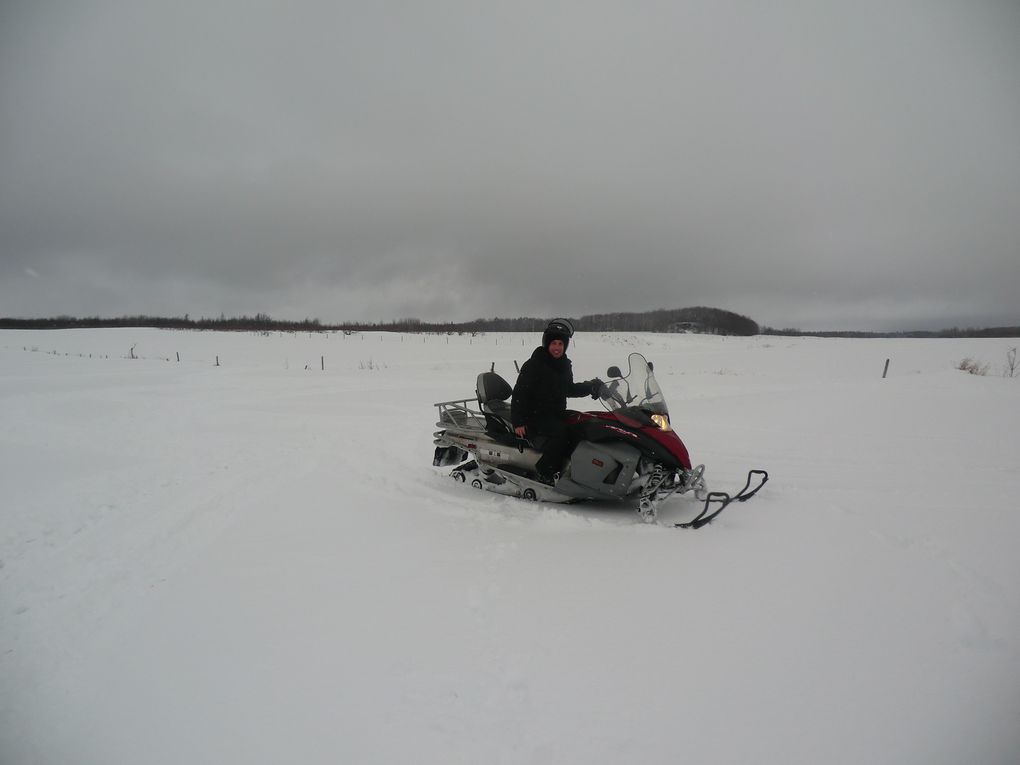 Igloo, moto neige et chien de traîneau ...