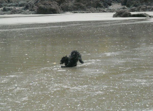 Decouverte de la plage.