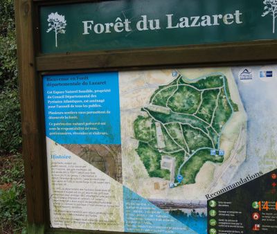 Forêt du Lazaret.Mardi 14 mai 2024.
