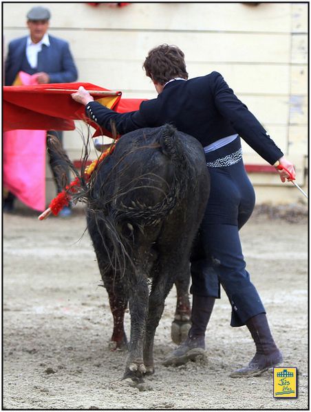 DIAPORAMA DE LA FAENA DE FERNANDO REY