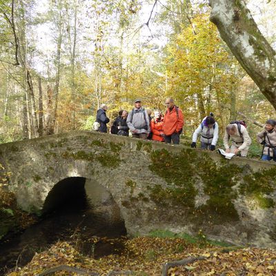 Randonnée du Perray-en-Yvelines à Saint-Rémy-lès-Chevreuse - 26,3 km