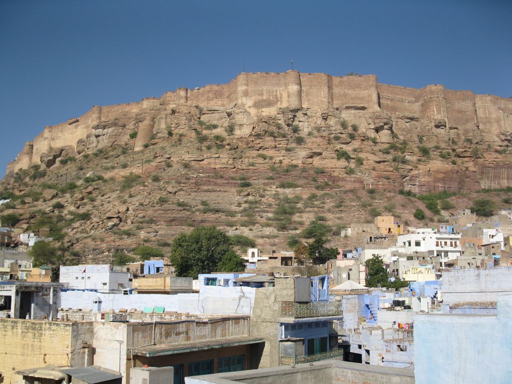 Album - Jodhpur