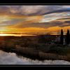 en rentrant de la Grande Motte, La petite camargue..