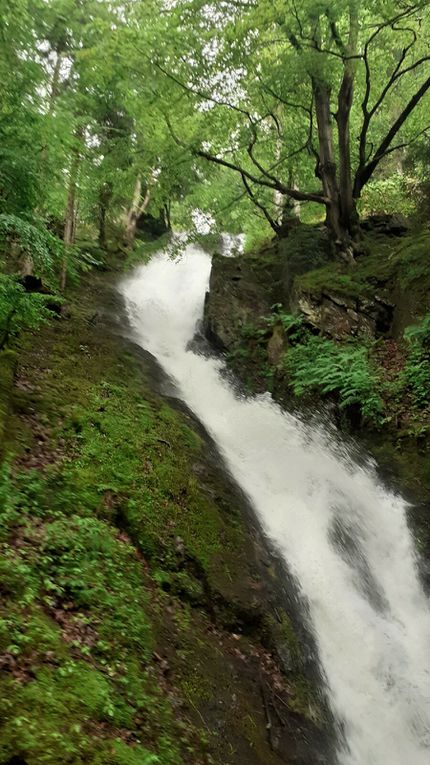 RANDO du 4 Juin 2023 à Rochetaillée 42 (Le Gouffre d'Enfer) 