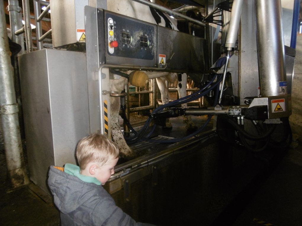 Matinée à la ferme 