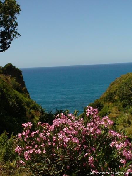 Album - ALGERIE