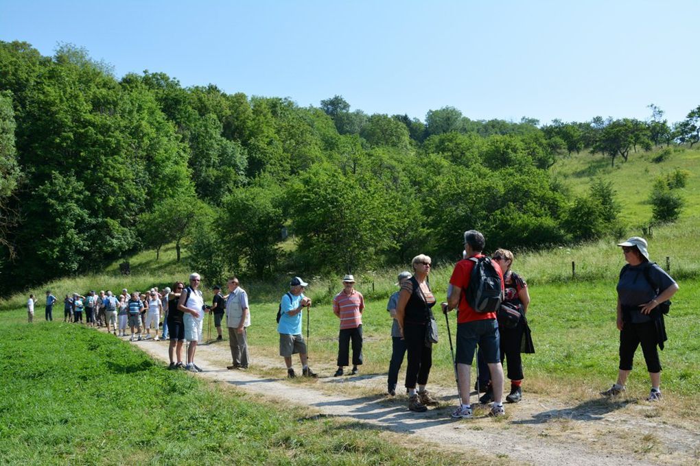 Le sentier du Madon - 11 Juin 2015 -