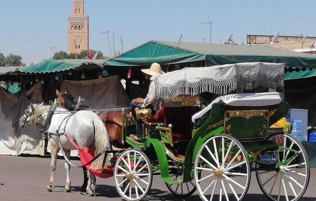 Excursion Marrakech